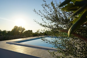 A swimming pool with a stone deck, surrounded by greenery and trees.