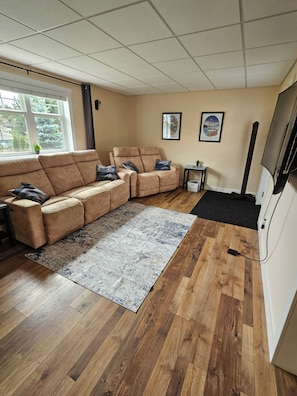 Smart TV, fireplace, books