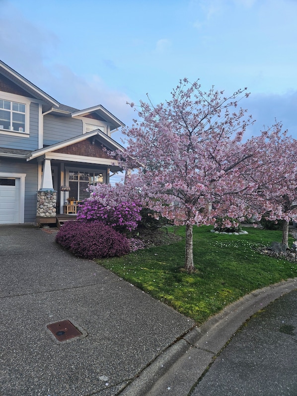 Exterior - Sooke Coastal Escape (Sooke)