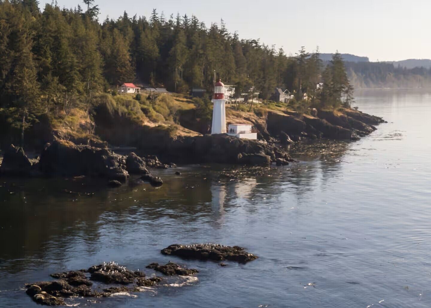 A lighthouse on a rocky shoreline with trees and houses in the background.