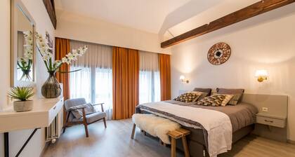 Spacious appartment in the historical center