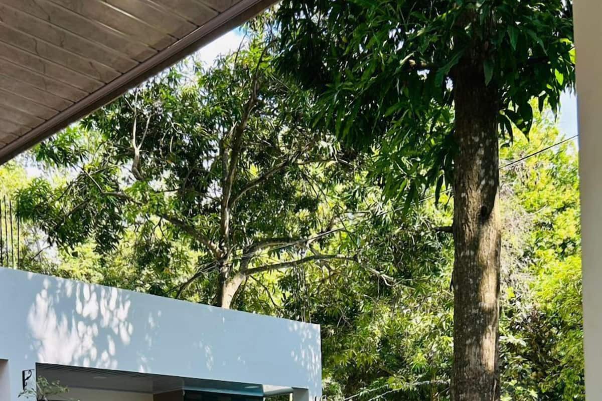 A modern building with a pool, surrounded by lush greenery and trees.