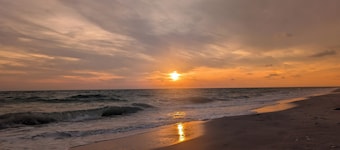 Your private beach retreat awaits! Heated pool, free ferry & parking!