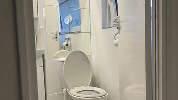 Hair dryer, towels, toilet paper
