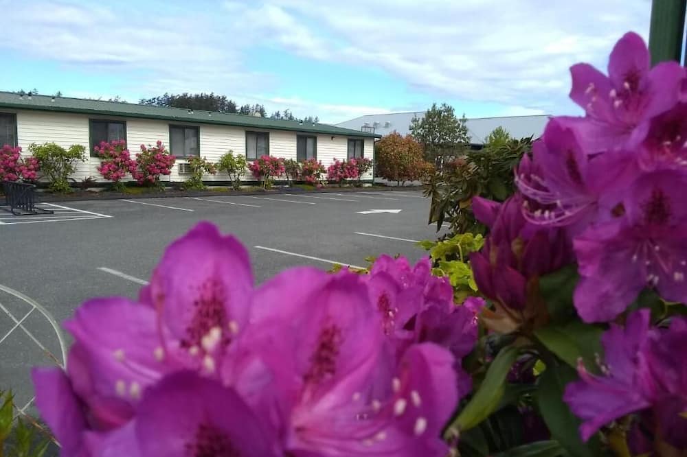 The Orca Inn
