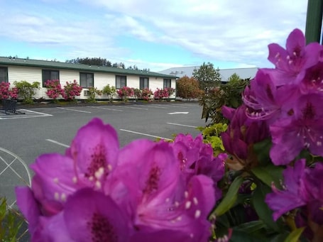 A motel with a row of rooms, a parking lot, and blooming flowers in the foreground.