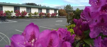 The Orca Inn