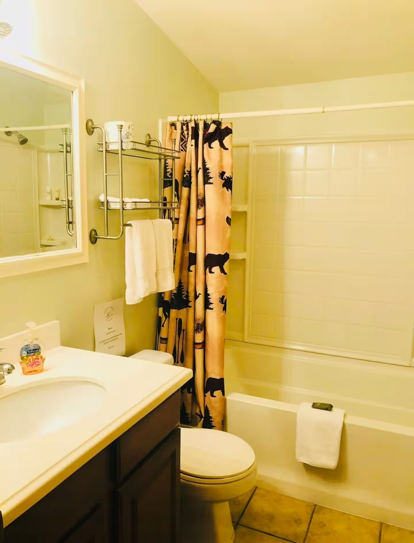 Hair dryer, towels, soap, toilet paper