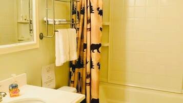 Hair dryer, towels, soap, toilet paper