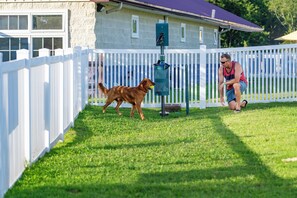 A fenced yard with a dog and a person.