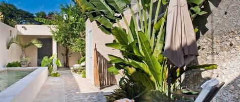 テラス / パティオ