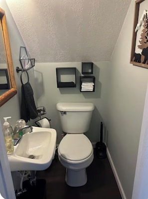 Hair dryer, towels, soap, toilet paper