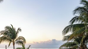 A pool with lounge chairs, a thatched-roof structure, and palm trees. - Beachfront with pier and saltwater pool for 14 ppl 4 bedrooms (Cozumel)