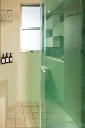 Shower, hair dryer, towels, soap - Beachfront with pier and saltwater pool for 14 ppl 4 bedrooms (Cozumel)