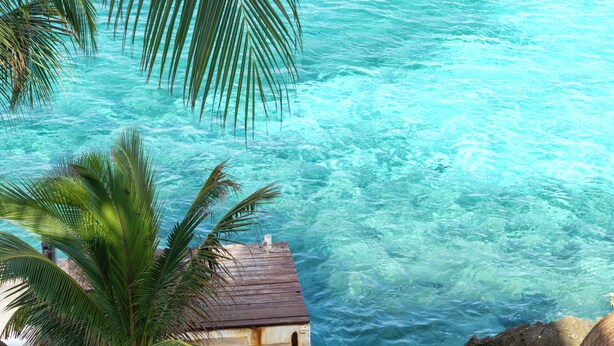 A wooden deck with lounge chairs overlooking turquoise water, palm trees, and a building with a thatched roof. - Beachfront with pier and saltwater pool for 14 ppl 4 bedrooms (Cozumel)