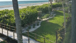 Blick auf einen Strand mit einem Pfad, Palmen und einem Zaun.