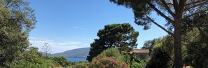 Miscellaneous - Charming traditional house located in the calarossa estate, beach access. (Lecci)
