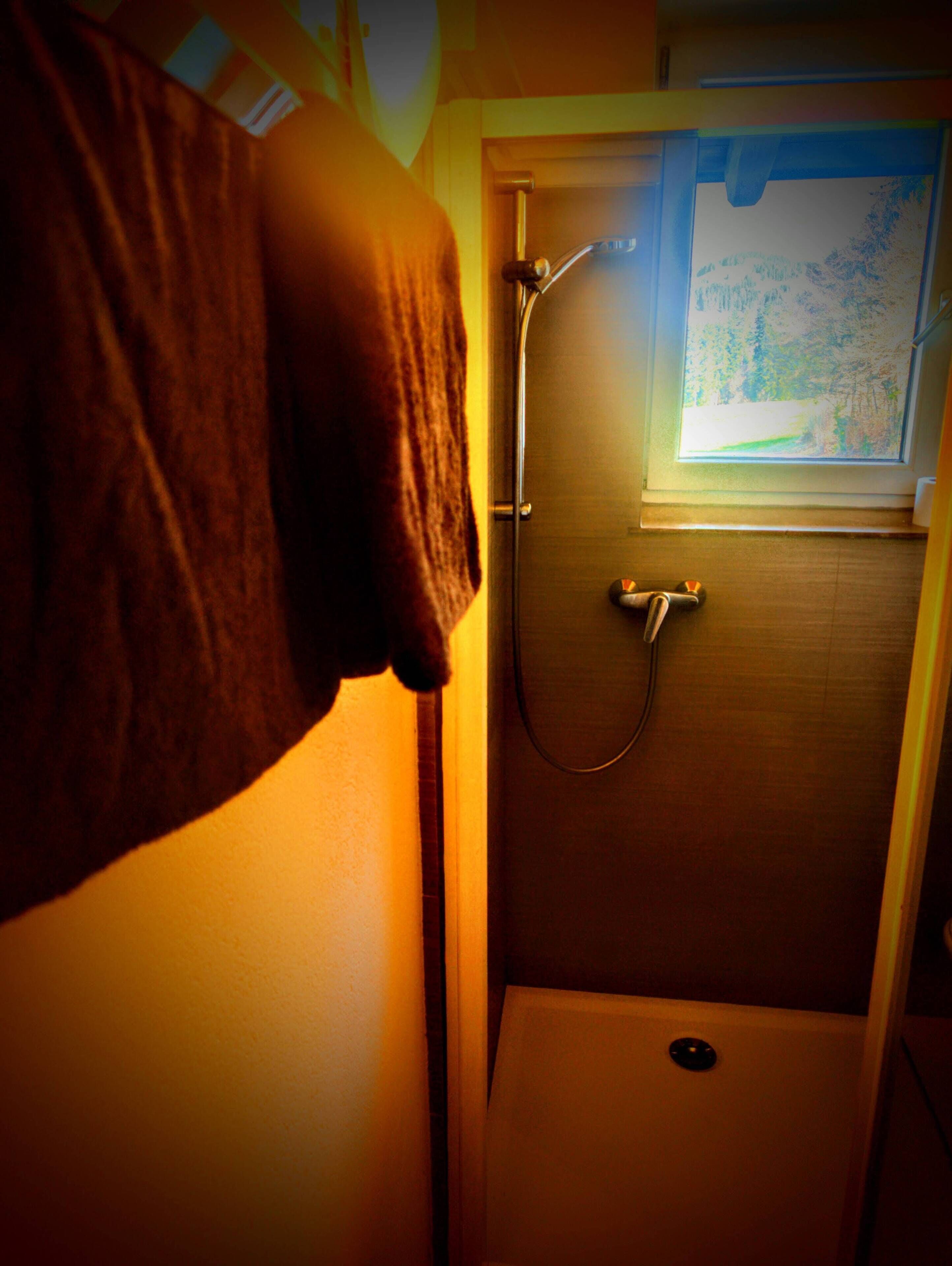 Zimmer, 1 Schlafzimmer, Balkon | Badezimmer