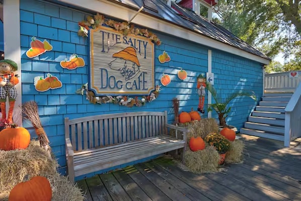 A blue building with a sign reading 'TUES SALTY DOG CAFE' and a wooden bench outside.