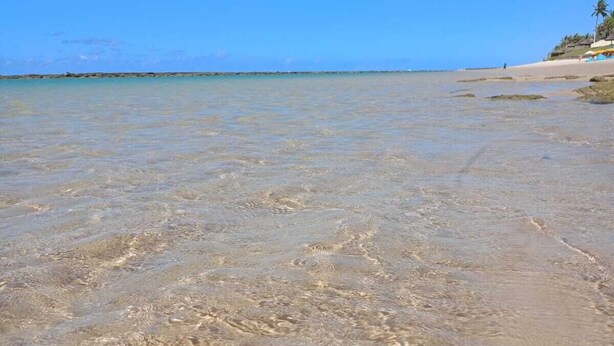Una playa con aguas claras y poco profundas, una orilla arenosa y un edificio distante con una bandera.