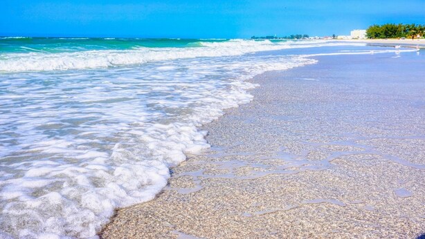 A beach with clear blue water, pebbly shore, and distant buildings. - The Lovely Gem 6 miles to Siesta Key Paradise (Sarasota)