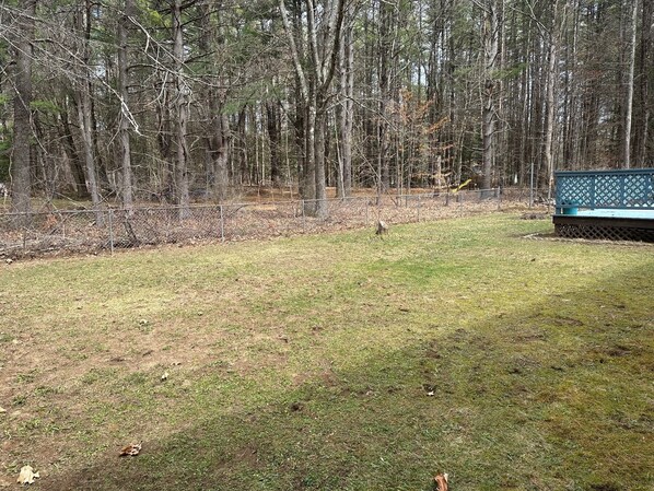 Property grounds - 3-bedroom house in Gansevoort (Gansevoort)