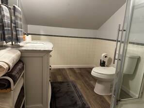 Bathroom - 3-bedroom house in Gansevoort (Gansevoort)