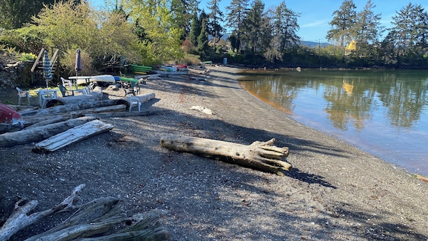 A riverside area with a gravel beach, wooden logs, and outdoor seating. - 2 Bedroom Semi-Waterfront Cottage in Vesuvius, Salt Spring Island (Salt Spring Island)