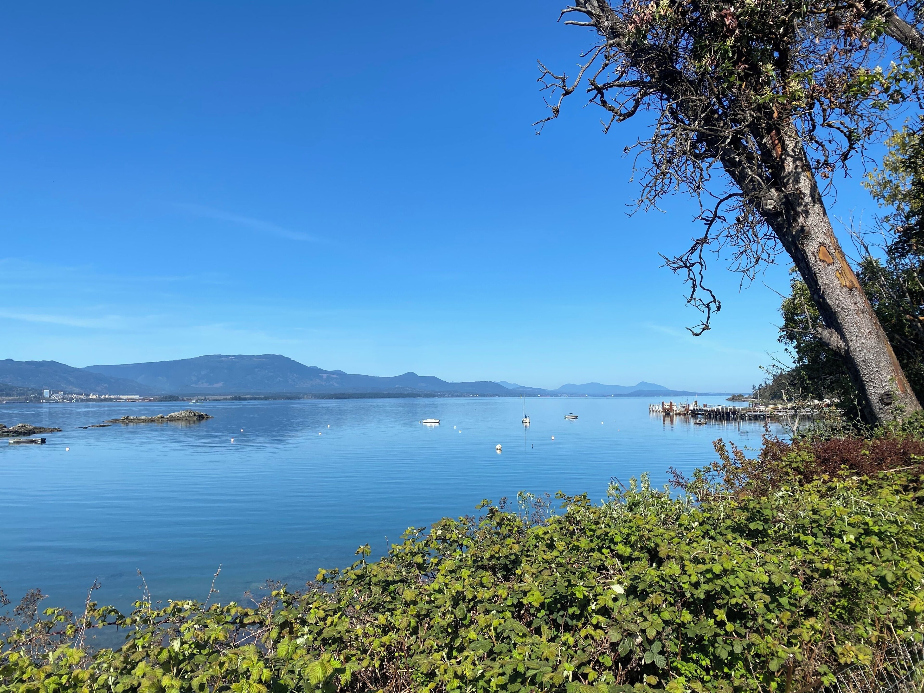 A calm lake with boats, a dock, and mountains in the distance.