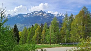 Un paysage montagneux avec une route et des arbres au premier plan.