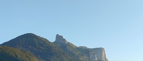 Eksteriør
