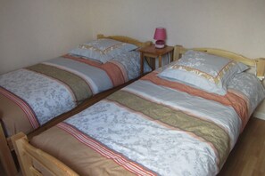 Iron/ironing board, Internet - LE NID SAVOYARD (Faverges-Seythenex)
