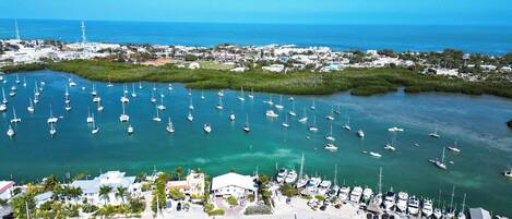 Marina