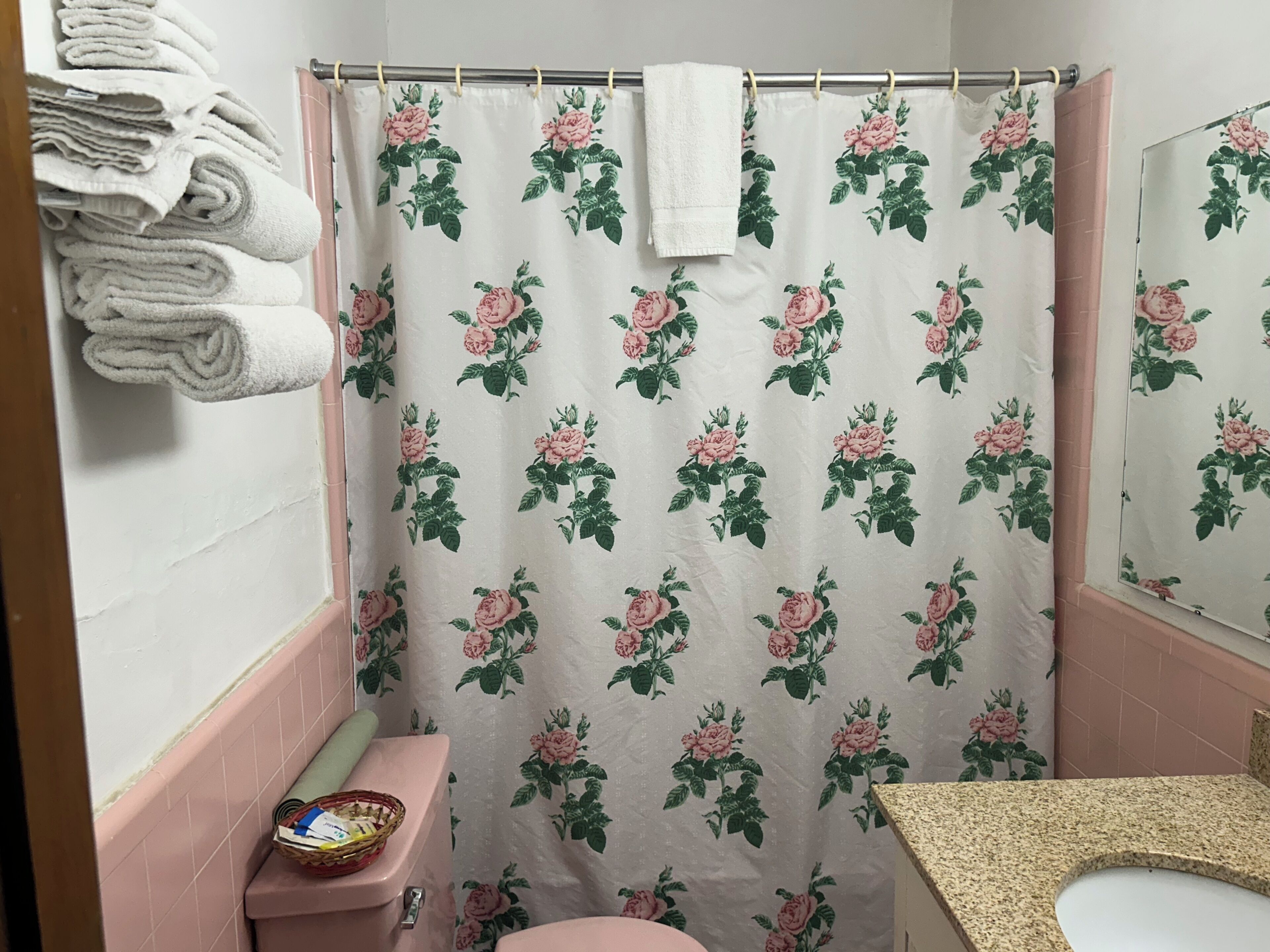 Bathtub, hair dryer, towels, soap