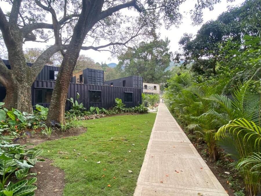 Un camino conduce a un edificio de diseño moderno, rodeado de abundante vegetación y árboles.