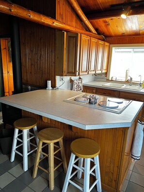 Private kitchen - Charming Lakefront log cabin 2bd-1 bath on Bluegill Lake in Harrison, MI (Harrison)