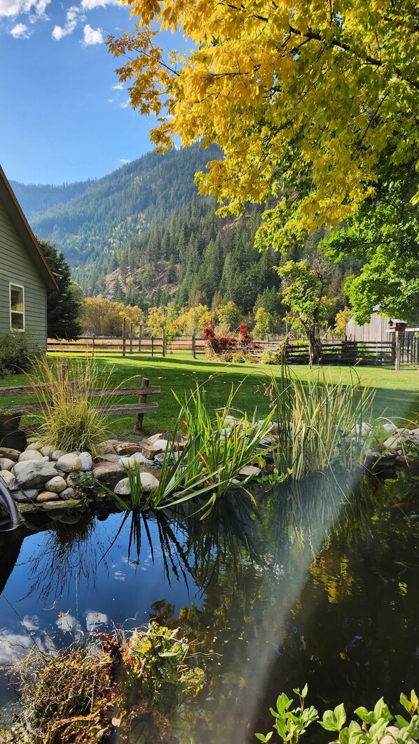 Terrain de l’hébergement 