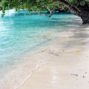 A beach with clear turquoise water, a sandy shore, and a tree branch overhanging the water.