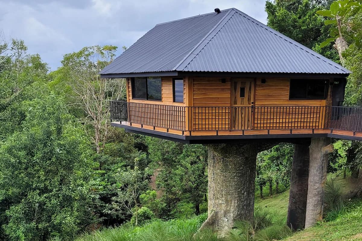 Trjáhús - fjallasýn