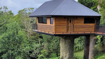 Casa de árbol | Caja de seguridad en la habitación, wifi gratis y ropa de cama