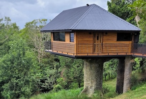 Boomhut | Een kluis op de kamer, gratis wifi, beddengoed