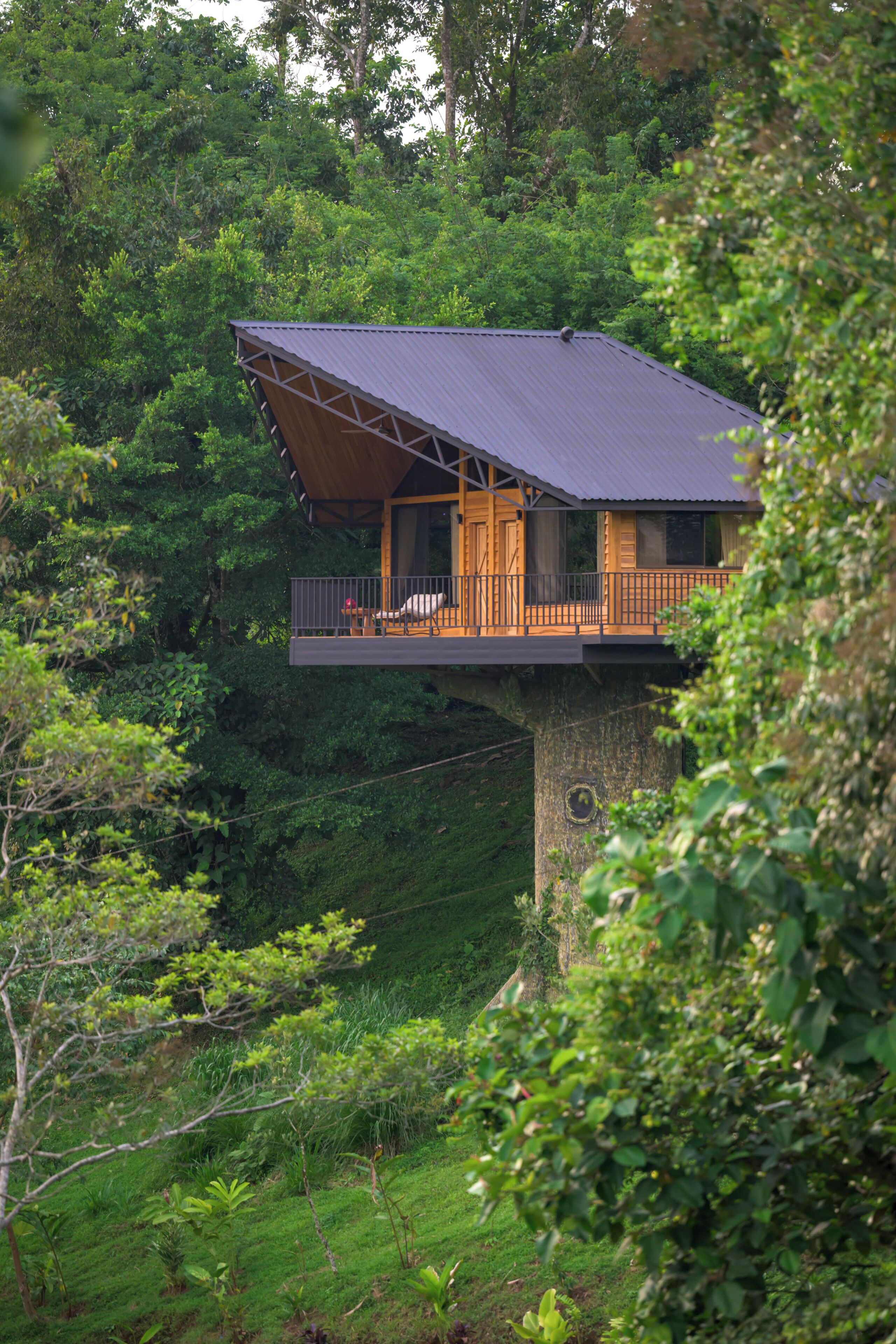 Tree House | In-room safe, free WiFi, bed sheets