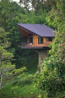 Uma casa com varanda, rodeada por uma floresta densa.