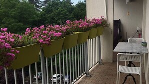 Ein Balkon mit Tisch und Stühlen, einem Geländer mit Blumenkästen und Blick auf parkende Autos und Bäume.