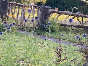 Property grounds - Lovely 3-bedroom country house in deep forest Newcomb perfect for relaxing (Newcomb)
