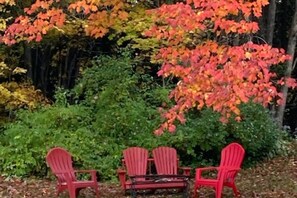 Property grounds - Lovely 3-bedroom country house in deep forest Newcomb perfect for relaxing (Newcomb)