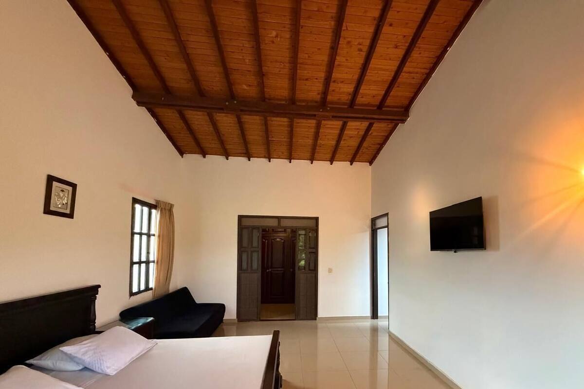 A bedroom with a bed, a TV, a door, and a window.