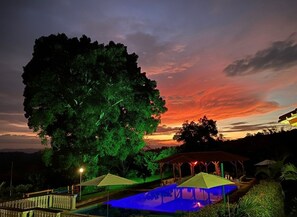 A nighttime outdoor setting with a large tree, a gazebo, and a swimming pool.