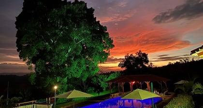 Jardines del cafe entre nubes