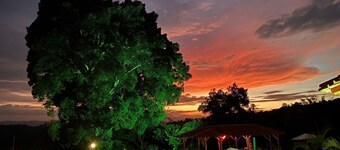 Jardines del cafe entre nubes
